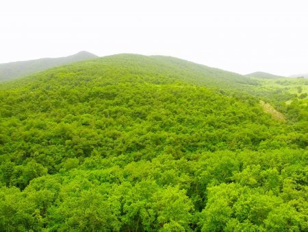 Ծավ. Կապանի գյուղաշխարհը. տեսանյութ